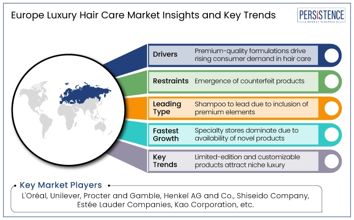 Europe luxury hair care market outlook, 2019-2031